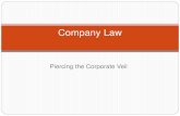 Company Law - Piercing the Corporate Veil