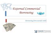 External Commercial Borrowings (ECB)