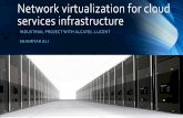 Network Virtualization for Cloud Services Infrastructure