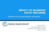 Impact of business Andrei Mikhnev
