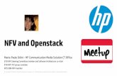 Openstack meetup NFV