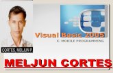 MELJUN CORTES Visual basic 2005   10 mobile programming