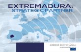 Extremadura Strategic Partner- European Projects