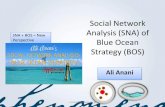 Sna of blue ocean strategy