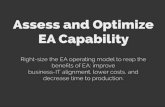 Assess and Optimize EA Capability