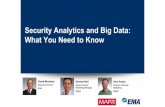 Security Analytics and Big Data: What You Need to Know