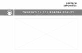Pacheco properties website listing presentation