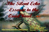 Silent Echo Essence to the Quiet Soul (~ 10 Meg Download to listen the music)