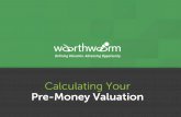 Worthworm Tutorial: Maximizing Your Pre-Money Valuation