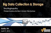 AWS Data Collection & Storage