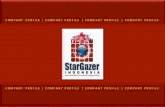 Company Profile StarGazer Indonesia 2015
