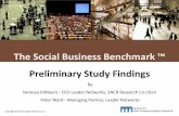 The 2013 Social Business Benchmark Preliminary Findings