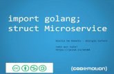 Import golang; struct microservice - Codemotion Rome 2015