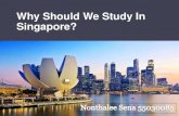 Why should we study in Singapore (55030085)