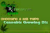 Choosing a biz type for Cannabis Growing Business