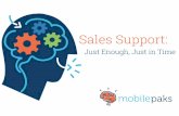 Sales Support Just Enough, Just in Time | MobilePaks