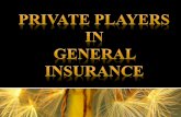Private players in general insurance