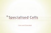 Specialised cells