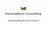 Understanding business finance