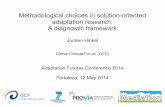 Methodological choices in problem oriented adaptation research