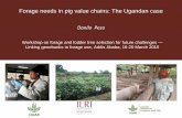 Forage needs in pig value chains: The Ugandan case