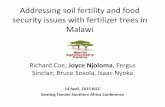 Addressing soil fertility and food security issues with fertilizer trees in Malawi