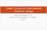 Crash course on grammar and common usage