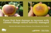 Pome fruit heat damage to increase with climate change unless actively managed - Malcolm McCaskill