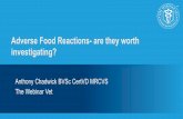 Adverse reactions to food. Are they worth investigating