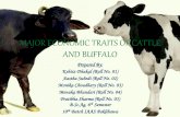 Major economic traits of cattle and buffalo