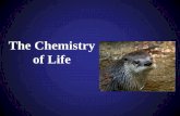The chemistry of life chapter 3