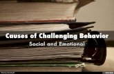 Causes of Challenging Behavior