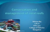 Conservation and management of coral reefs