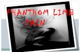 Intro to phantom limb pain