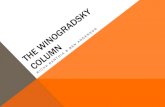 The Winogradsky Column