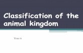 Classification of the animal kingdom