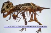 Ch. 6.1 Fossils & Geologic Time
