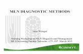 MLN Workshop:  Maize lethal necrosis diagnostic methods -- A Wangui