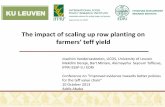 The impact of scaling up row planting on farmer's teff yield