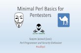 Perl basics for Pentesters