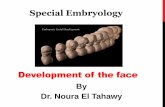 Development of face, nose, palate by dr. noura 2014