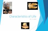 G7 ch1.1   characteristics of life