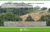 CIFOR/ICRAF sloping lands in transition (SLANT) project