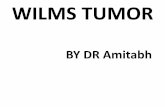 Wilm tumor and RT management