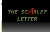 The scarlet letter (introduction & historical background/ setting)