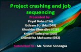 Project crashing and job sequencing