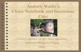 Andrew wallis   china experience presentation