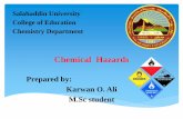 Chemical hazards by Karwan Omer Ali, Greza