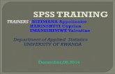 Analysis by using spss