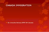 Canada immigration-2015